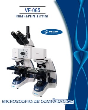 Oculares: WF10X/18 mm con ajuste de dioptría en uno de los oculares. Cabeza:  Triocular tipo Siedentopf inclinada a 30° y giratoria 360° con ajuste