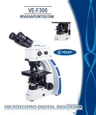 Epifluorescencia es una experiencia sumamente accesible y amigable para cualquier usuario, Oculares: PL10X/20mm oculares giratorios 360°