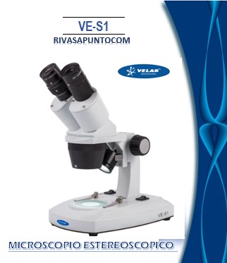 Binocular inclinada a 45° con ajuste de distancia interpupilar de 55 - 75 mm Objetivos: Seleccionables 2X, 4X (20 y 40 aumentos totales)