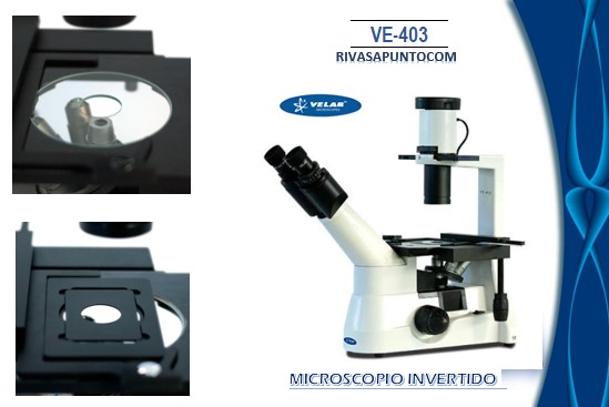 Binocular tipo Siedentopf inclinada a 45°con ajuste de distancia interpupilar de 48-75 mm. 4X, 10XPH, L20X PH (retráctil) y L40X 