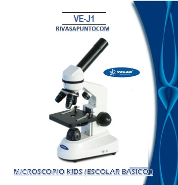 Educativos y dirigido a niños de 8 años en adelante Monocular inclinada a 45°.Objetivos: 4X, 10X y 40X (retráctil) 