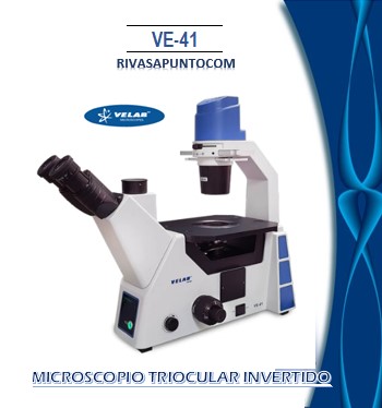 Microscopio con contraste de fases. Objetivos: 4X, 10X, 20XPH y 40X (retractil) con optica plan acromatica corregida al infinito. Platina: 250 x 215mm