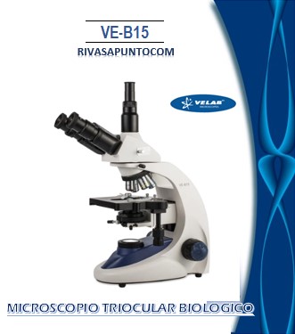 Triocular tipo Siedentopf inclinada 30° y giratoria 360° con ajuste de distancia interpupilar de 48-75 mm retráctil 100X (Inmersión), con óptica 